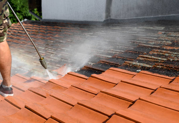 Best Pressure Washing Near Me  in Newcomerstown, OH
